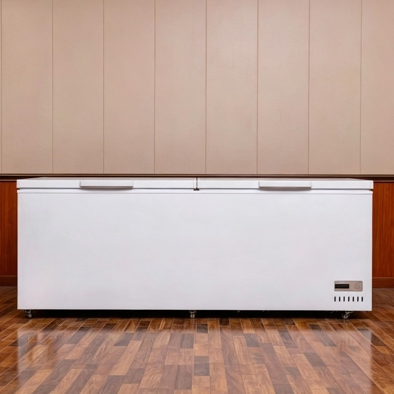 Lemari Es Komersial Kapasitas  - Commercial Chest Freezer ulasan dan harga
