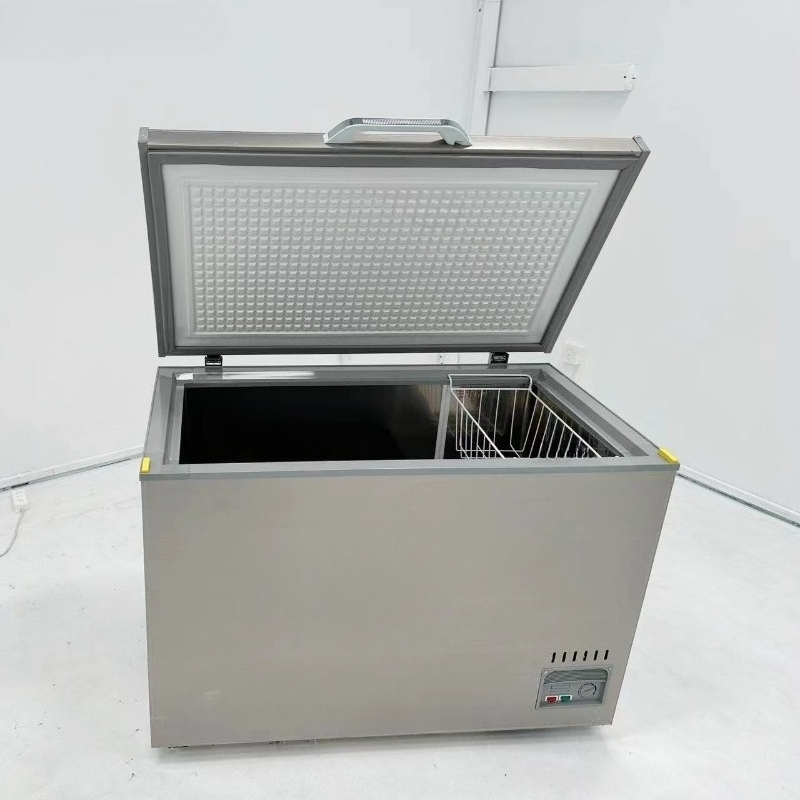 Lemari Pembeku Horizontal Baja - Commercial Chest Freezer ulasan dan harga