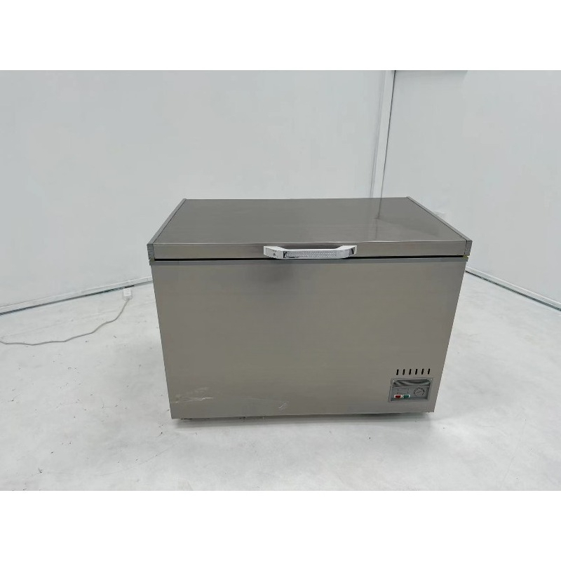 Lemari Pembeku Horizontal Baja - Commercial Chest Freezer ulasan dan harga