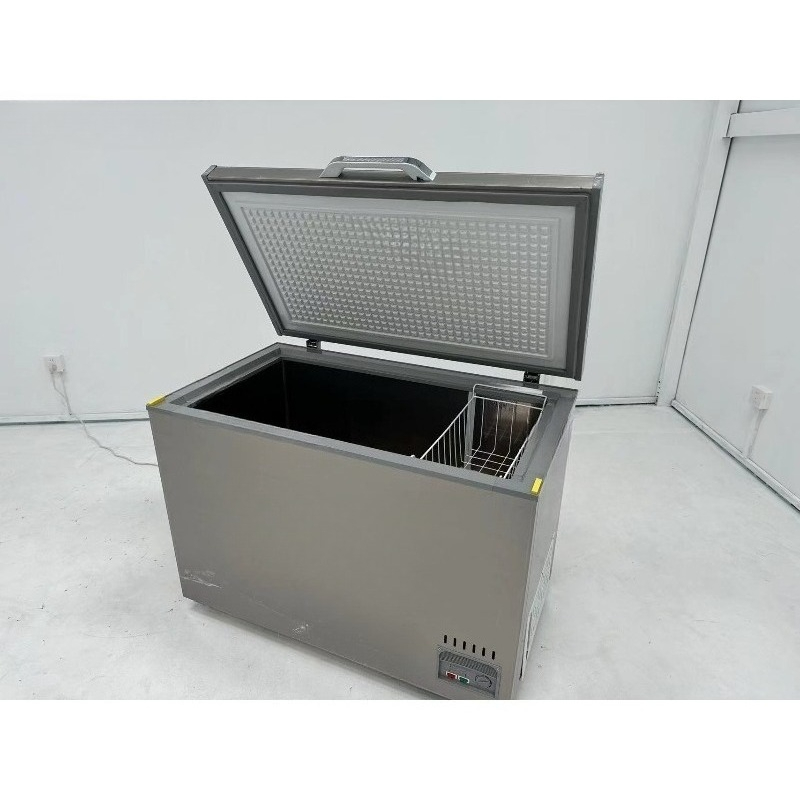 Lemari Pembeku Horizontal Baja - Commercial Chest Freezer ulasan dan harga