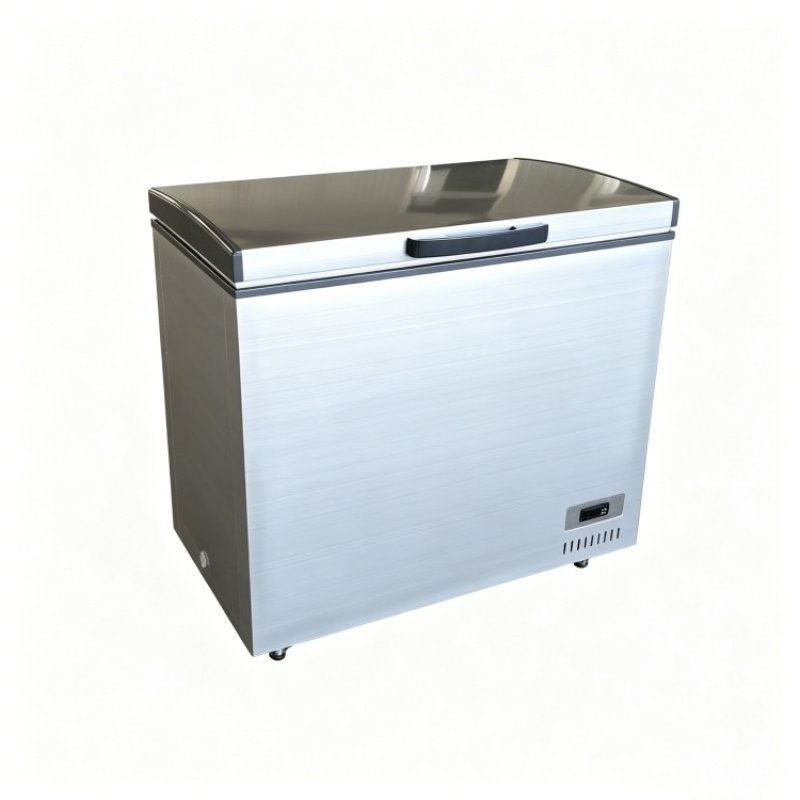 Kapasitas Besar -60 ° Lemari P - Commercial Chest Freezer ulasan dan harga