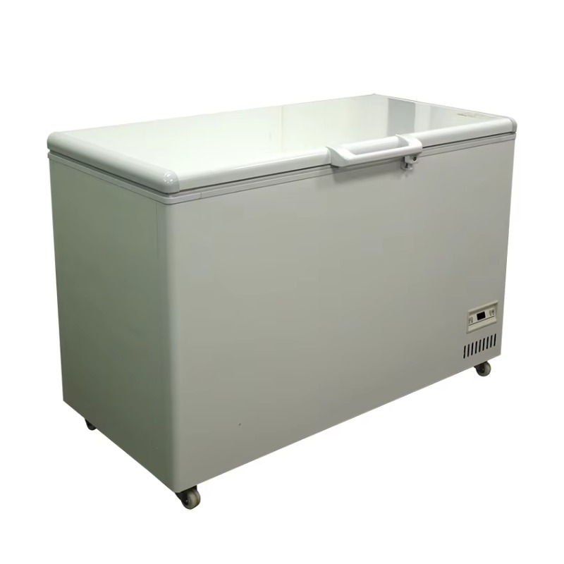 Lemari Pendingin Horizontal Ko - Commercial Chest Freezer ulasan dan harga
